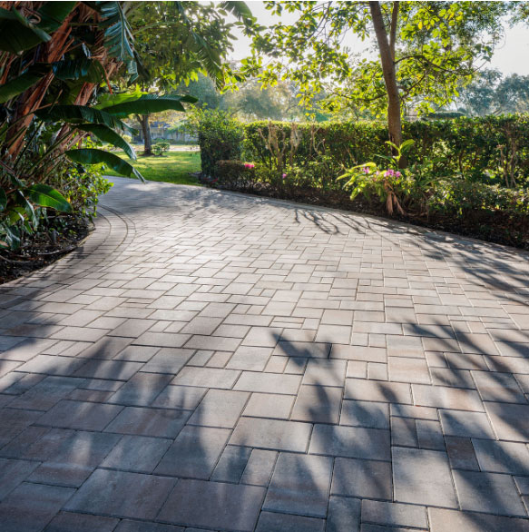 paver catalina grana